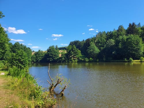 Rundwanderweg Linsengericht RWL4: Linsengerichterweg
