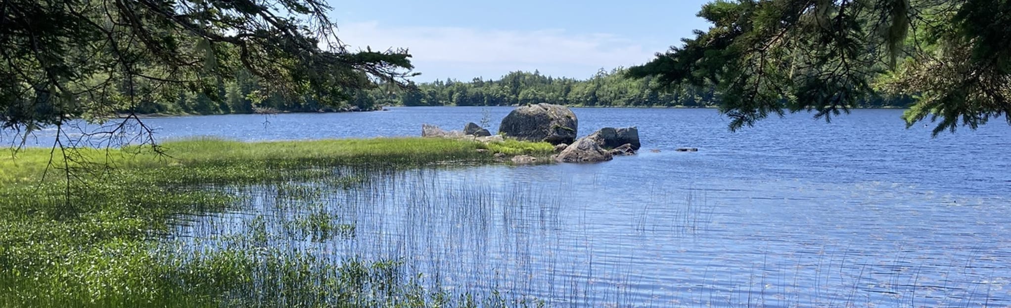 Musquodoboit Rail Trail 66 Reviews, Map Nova Scotia, Canada AllTrails