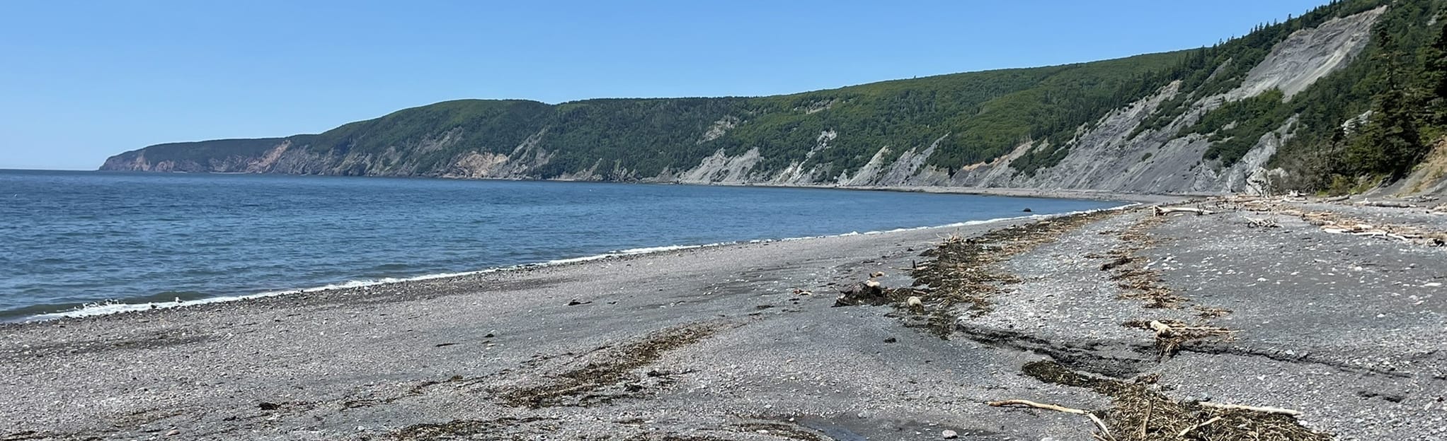 Beach Trail and Fundy Ridge Trail: 50 Reviews, Map - Nova Scotia ...