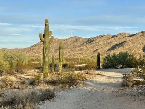Arizona hill's Cinders Hill OHV Super Loop, Arizona - 43 Reviews, Map