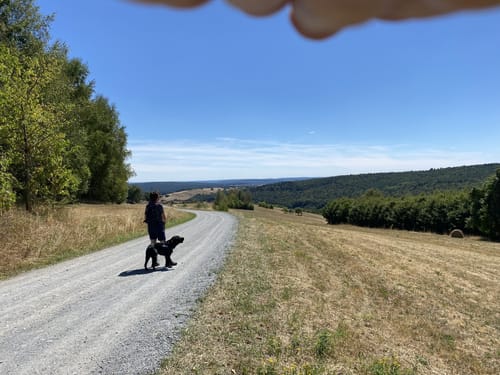 Kreuzberg ab Waldberg
