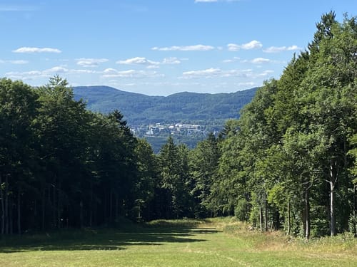 Kreuzberg ab Waldberg