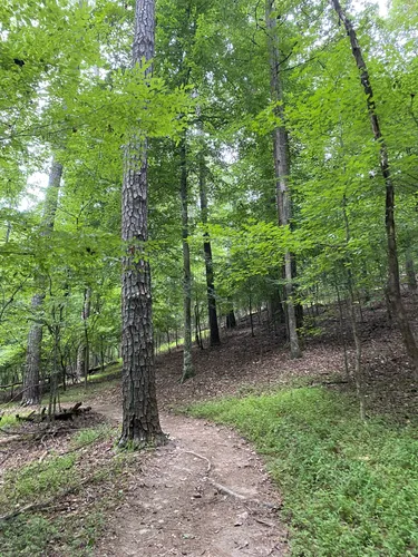 10 Best Hikes and Trails in Kennesaw - EyJidWNrZXQiOiJhc3NldHMuYWxsdHJhaWxzLmNvbSIsImtleSI6InVwbG9hZHMvcGhvdG8vaW1hZ2UvNTA0MDU0MjMvN2JkZWM2OTZkZjc0ZWY0YzVkNjg0Mzg0ZWI2N2IzZGEuanBnIiwiZWRpdHMiOnsidG9Gb3JtYXQiOiJ3ZWJwIiwicmVzaXplIjp7IndpZHRoIjo1MDAsImhlaWdodCI6NTAwLCJmaXQiOiJpbnNpZGUifSwicm90YXRlIjpudWxsLCJqcGVnIjp7InRyZWxsaXNRdWFudGlzYXRpb24iOnRydWUsIm92ZXJzaG9vdERlcmluZ2luZyI6dHJ1ZSwib3B0aW1pc2VTY2FucyI6dHJ1ZSwicXVhbnRpc2F0aW9uVGFibGUiOjN9fX0=