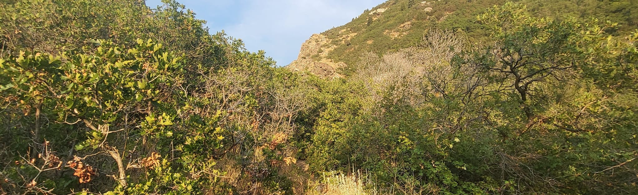 The Grotto in Canyon, Utah 1,414 Reviews, Map AllTrails