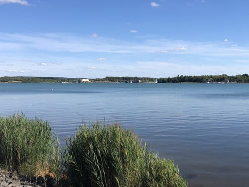 Um den Störmthaler See