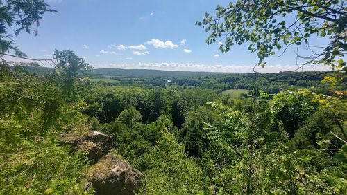 Best Hikes and Trails in Duncan Escarpment Provincial Park | AllTrails