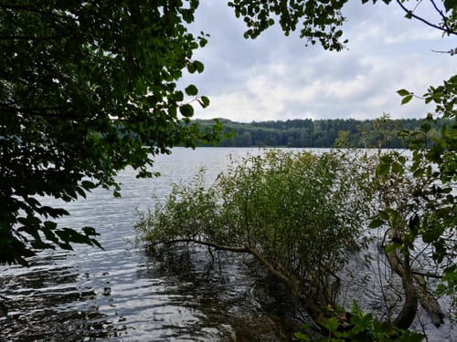 Suhrer See Rundweg
