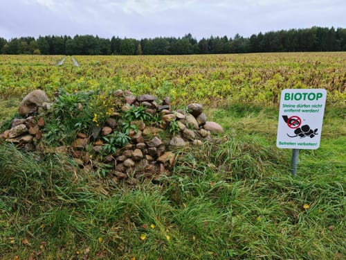 Alter Postweg und Pastor Bode Weg