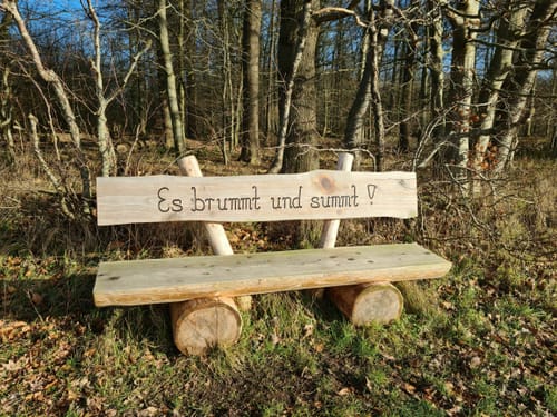 Sehestedtwald entlang des Nord-Ostee-Kanals