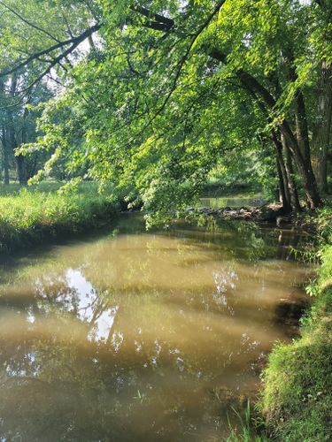 Sloan Preserve Trails: 38 Reviews, Map - Michigan