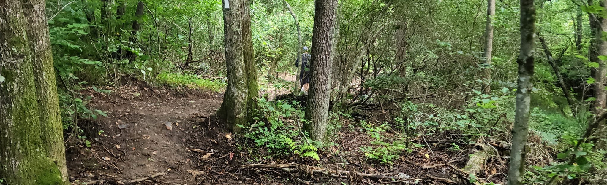 Fun Forest Habitat Trail Map, Guide Tennessee AllTrails