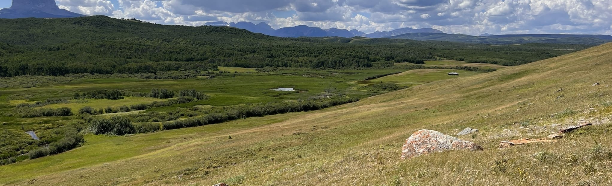Police Outpost Provincial Park Border & Meadow Trail 99 Fotos