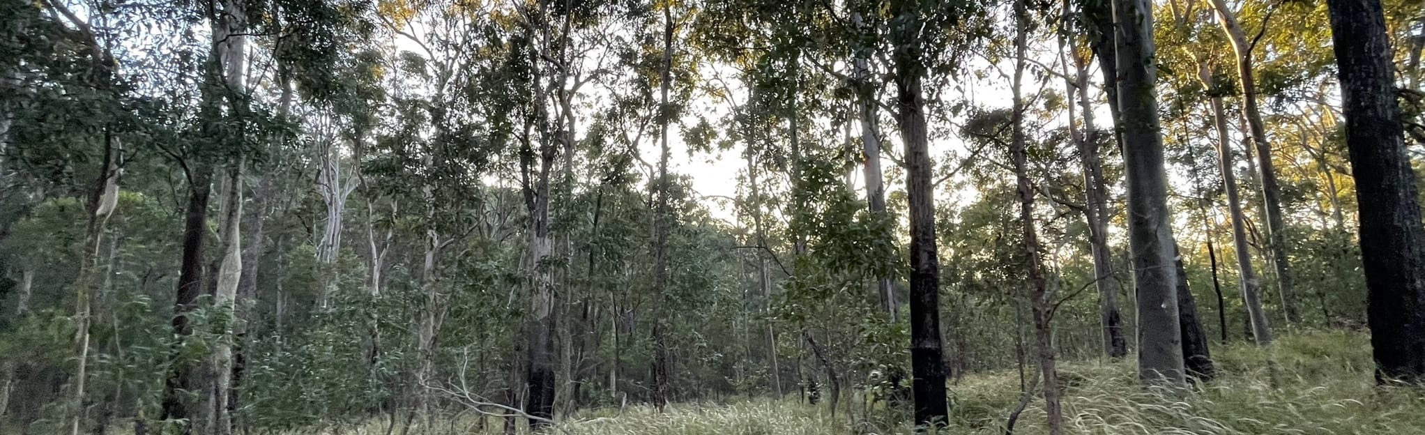 Mount Nathan Road to Nerang Velodrome, Queensland, Australia 72