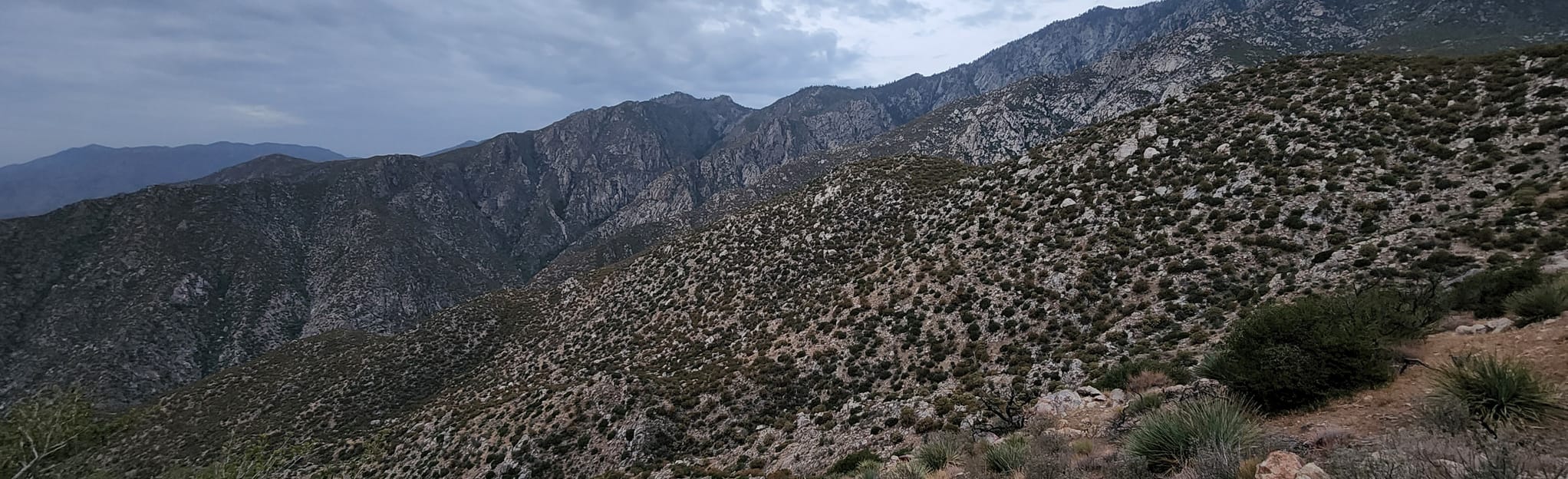 Skyline Trail Cactus to Clouds California AllTrails