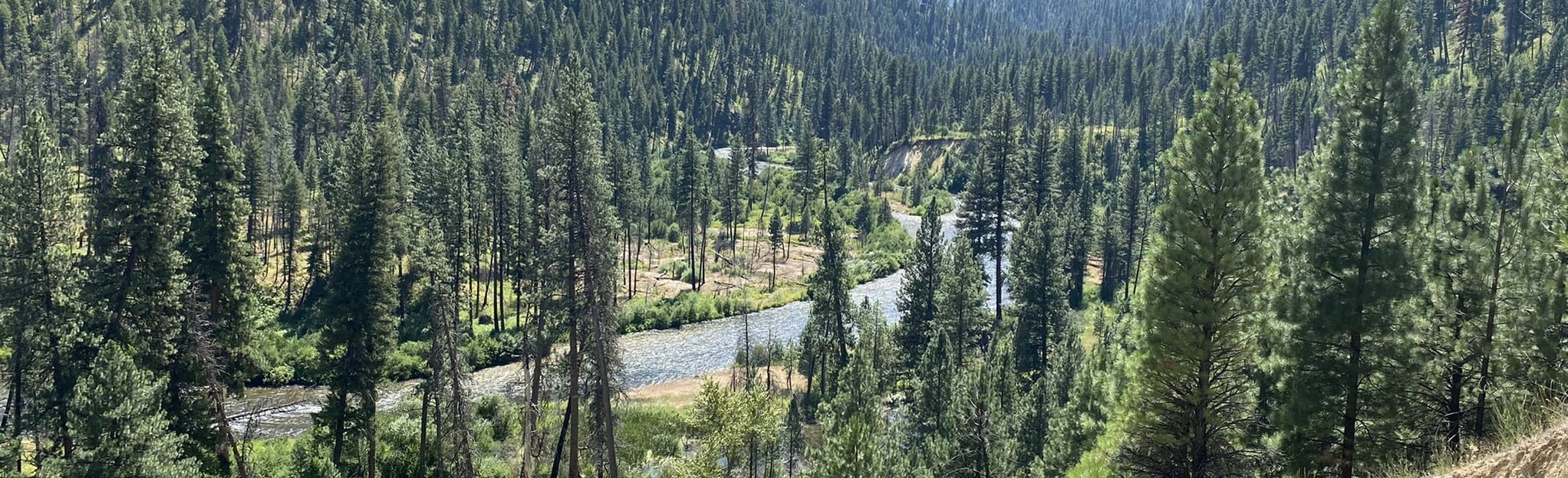 Julie Creek Trail 29 Fotos Idaho AllTrails