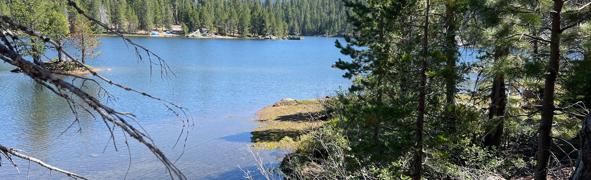 Gerle Creek Trail from Angel Creek Picnic Area | Map, Guide ...