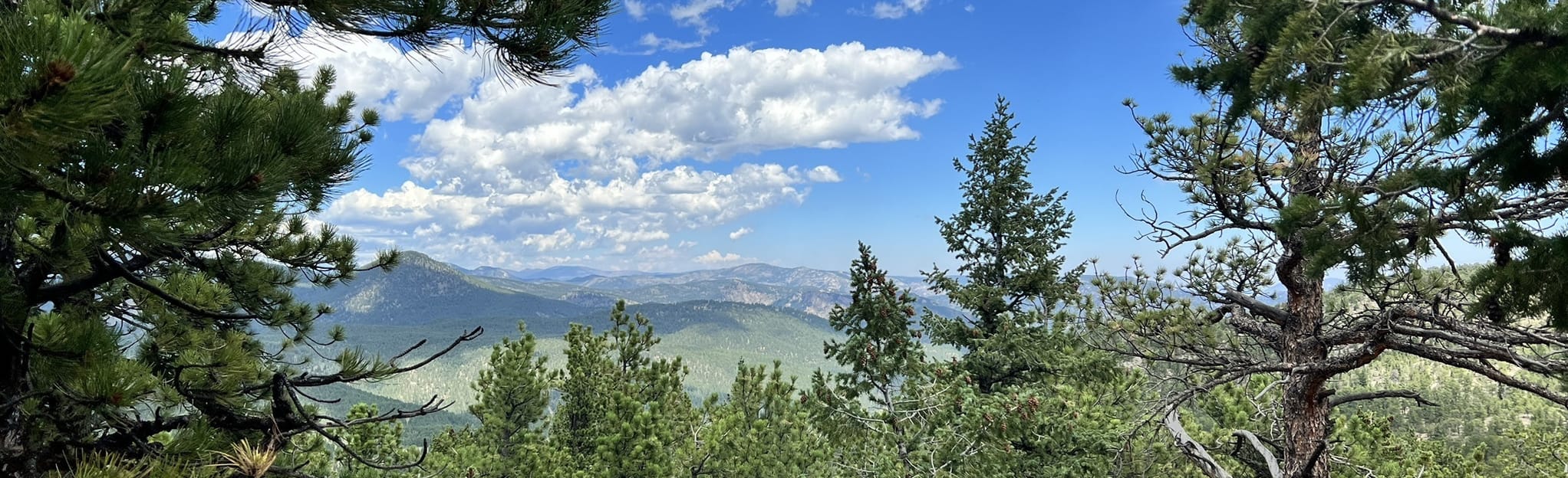 Miller Rock Via Ceran St Vrain Trail 569 Reviews Map Colorado