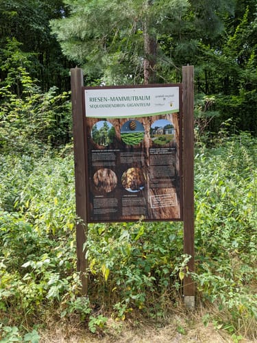 Magstadt: Rundwanderweg 6