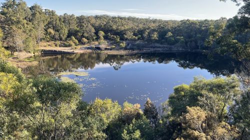 are dogs allowed at daisy hill conservation park