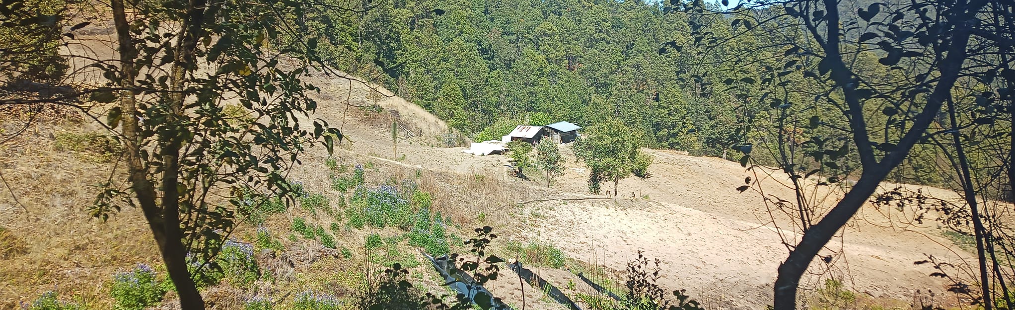 Mirador Oriental Cerro Yatín Llano Grande, Oaxaca, Mexico Map