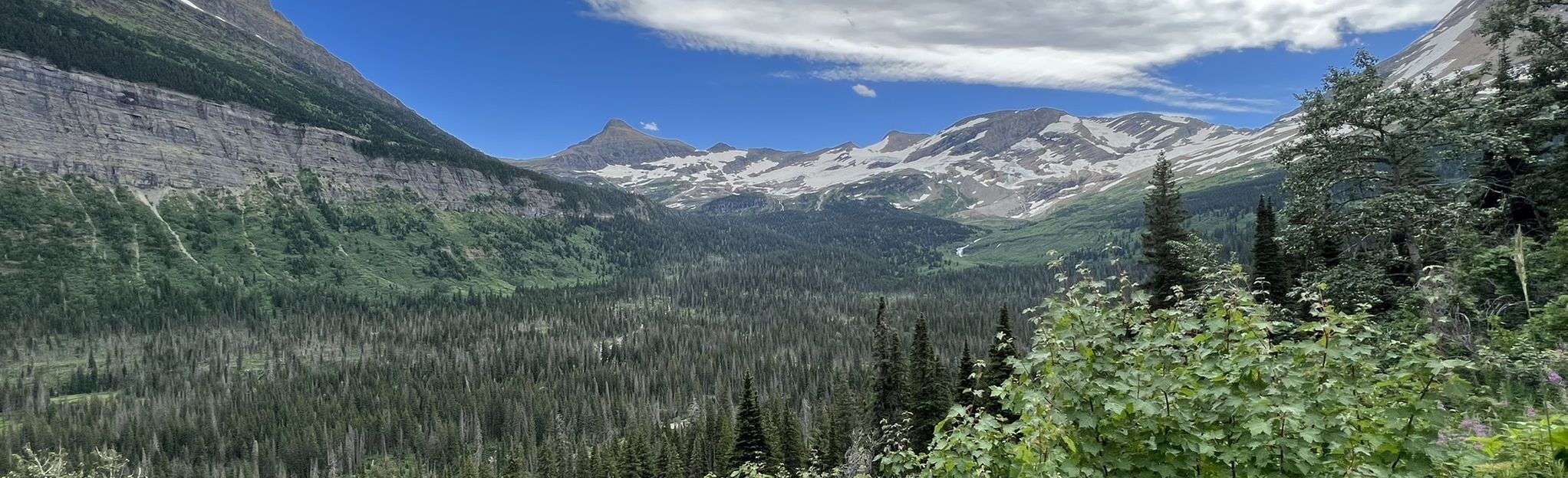 Gunsight Lake From Going To The Sun Road Montana Alltrails