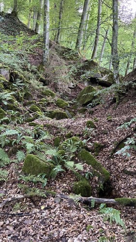 Eine Spur Versteckter (Welschbillig-Ittel 10)