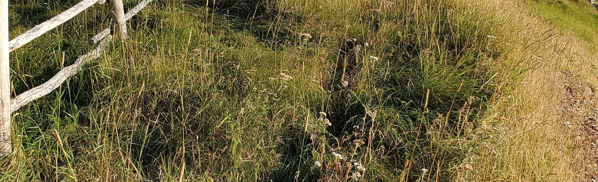 Heart's Desire Waterfront 3 Reviews, Map Newfoundland and Labrador