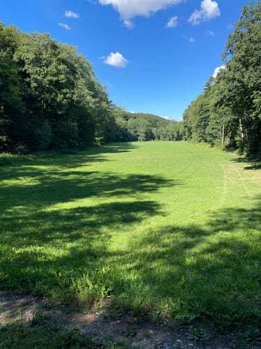 Durch den Westerbergwald ab Kollerbeck