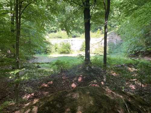 Durch den Westerbergwald ab Kollerbeck