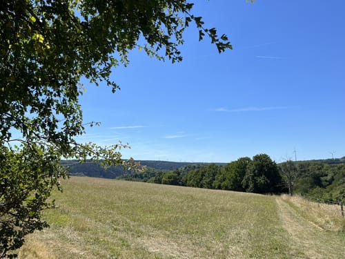 Kall Trail