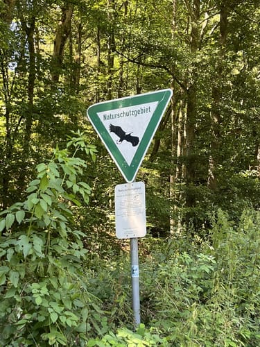 Kall Trail