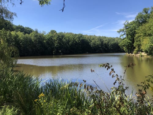 Netzbachweiher -Unterer Italienerweg - Netzbachhütte