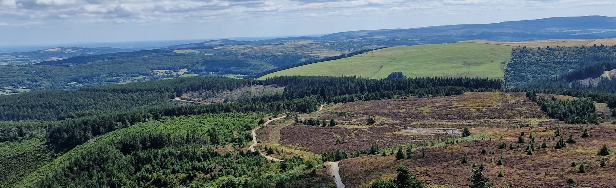 Moel Famau Circular: 83 Reviews, Map - Denbighshire, Wales | AllTrails