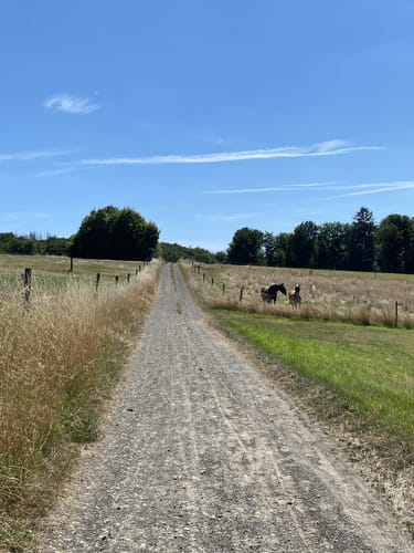 Wenigerbachrunde