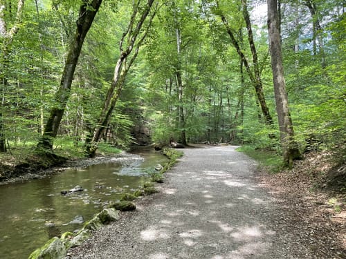 Durch Maisinger Schlucht ab Pöcking
