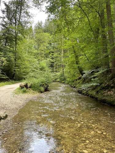 Durch Maisinger Schlucht ab Pöcking
