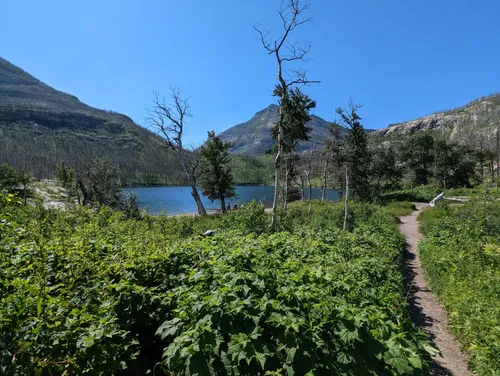 10 Best Easy Trails in Waterton Lakes National Park | AllTrails