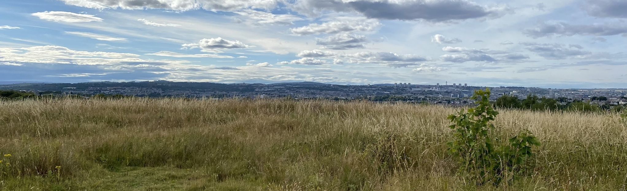 Tullos Hill: 48 Reviews, Map - Aberdeen, Scotland | AllTrails