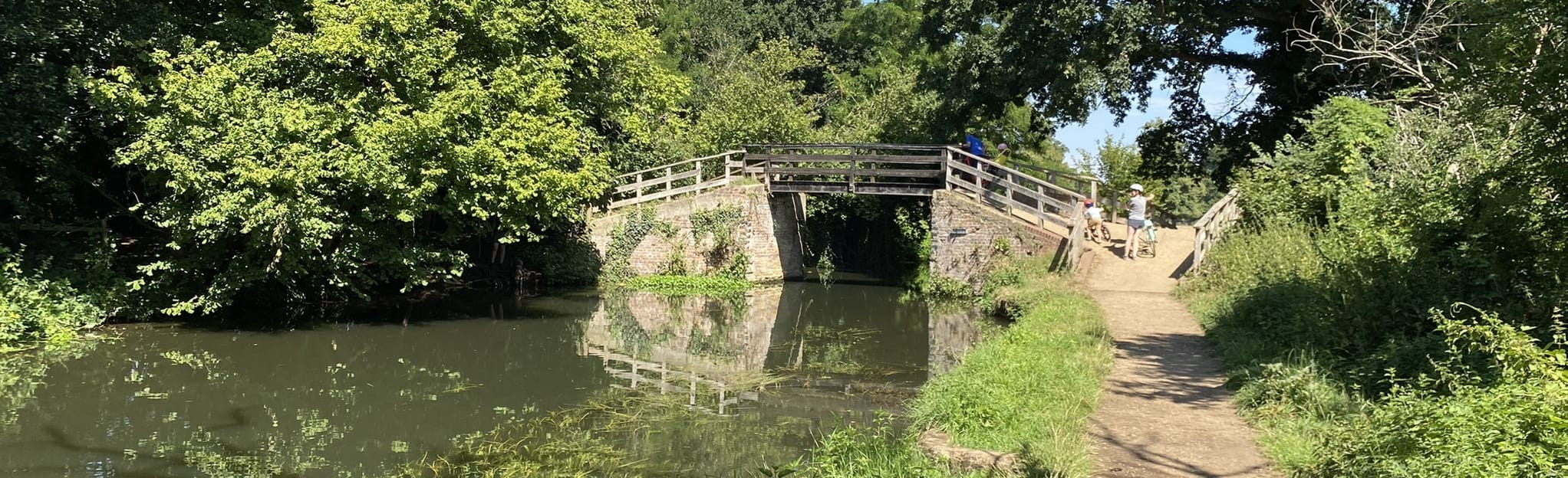 Byfleet, Wisley and River Wey Circular, Surrey, England 25 Reviews