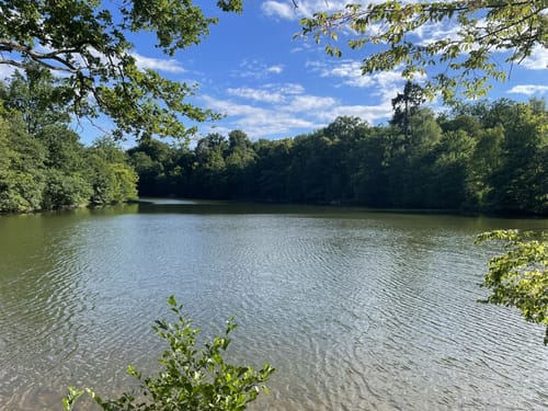 Bärensee Rundweg