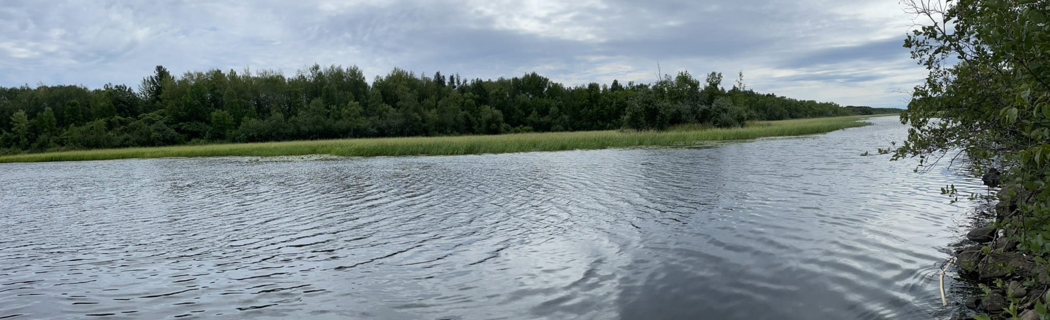 Moose Lake Woodland Trails Loop 29 Reviews, Map Minnesota AllTrails