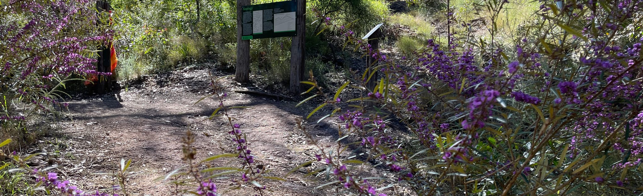 Castle Hill Mountain Bike Trails Central Loop 16 Reviews, Map