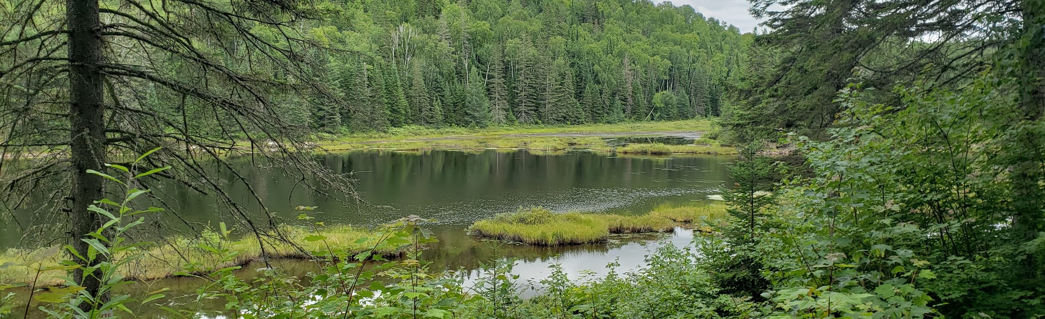 Serpentine Path Loop, Quebec, Canada 17 Reviews, Map AllTrails