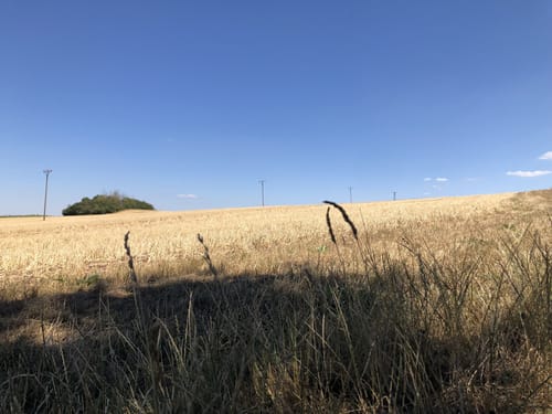 Panoramaweg Schwarzatal Etappe 8: Röderberg - Schwarza