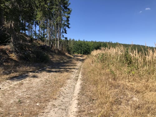 Panoramaweg Schwarzatal Etappe 8: Röderberg - Schwarza