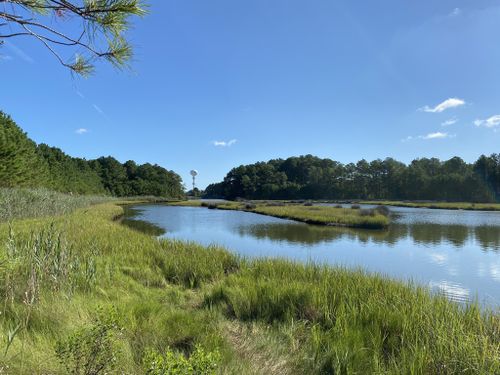 Best Hikes and Trails in Delaware Seashore State Park | AllTrails