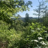 Tunnel Ridge Road, Kentucky - 397 Reviews, Map | AllTrails