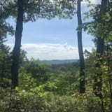 Tunnel Ridge Road, Kentucky - 397 Reviews, Map | AllTrails