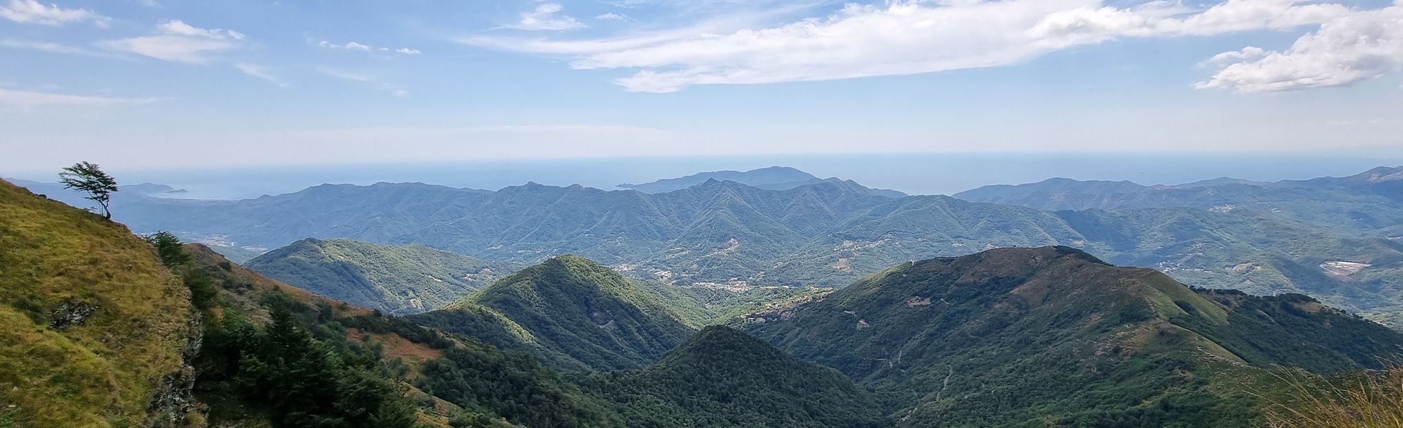 Barbagelata - Monte Caucaso, Liguria, Italy - 16 Reviews, Map | AllTrails