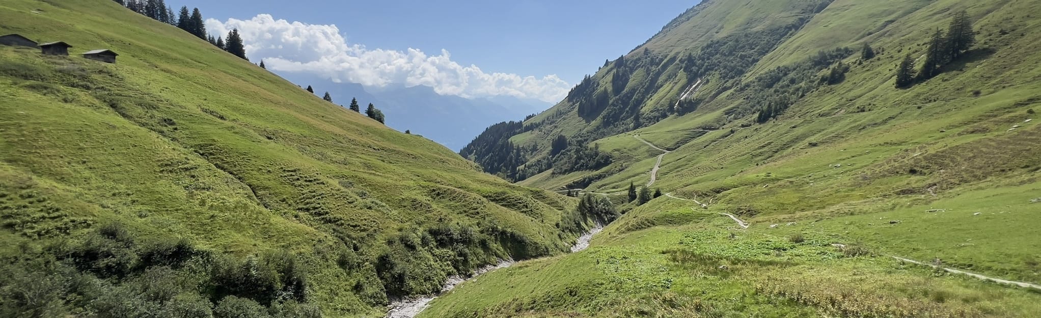 Brienzer Rothorn - Planalp: 10 Reviews, Map - Bern, Switzerland | AllTrails